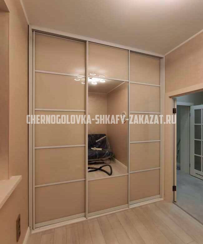 Встроенные шкафы на заказ Черноголовка